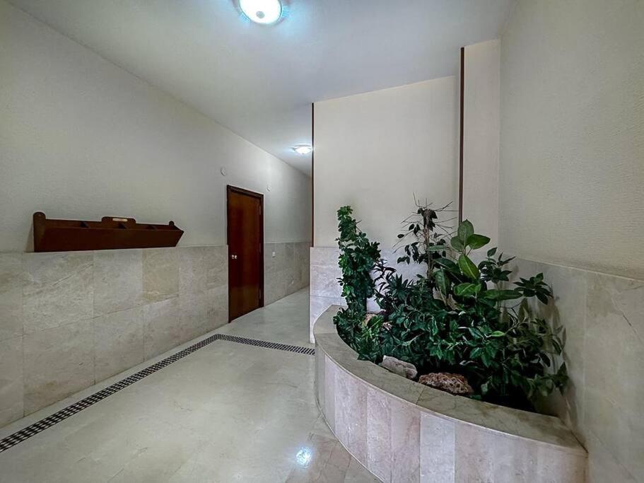Apartamento En La Estacion De Trenes Jerez de la Frontera Exteriér fotografie